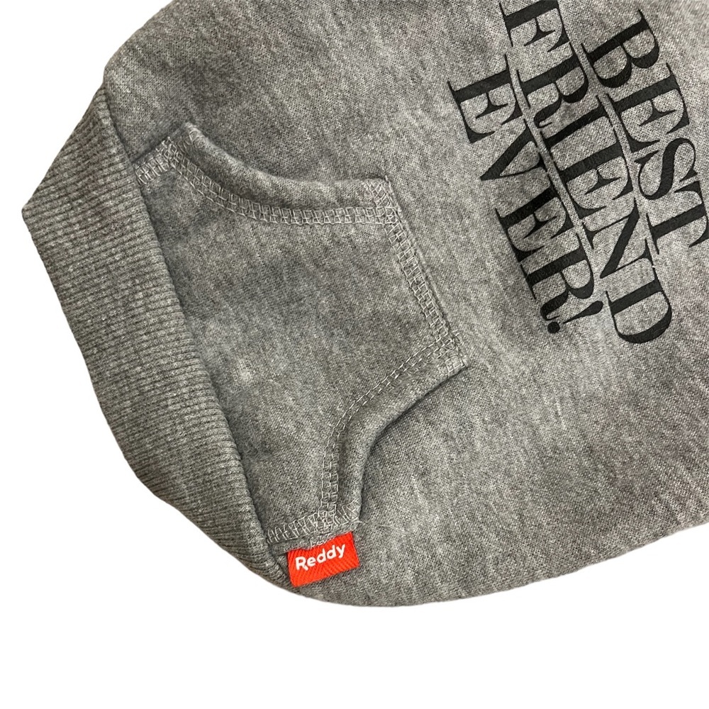 Reddy - Dog Hoodie “Best Friend Ever” in Gray - Size XS - Picture 3 of 3